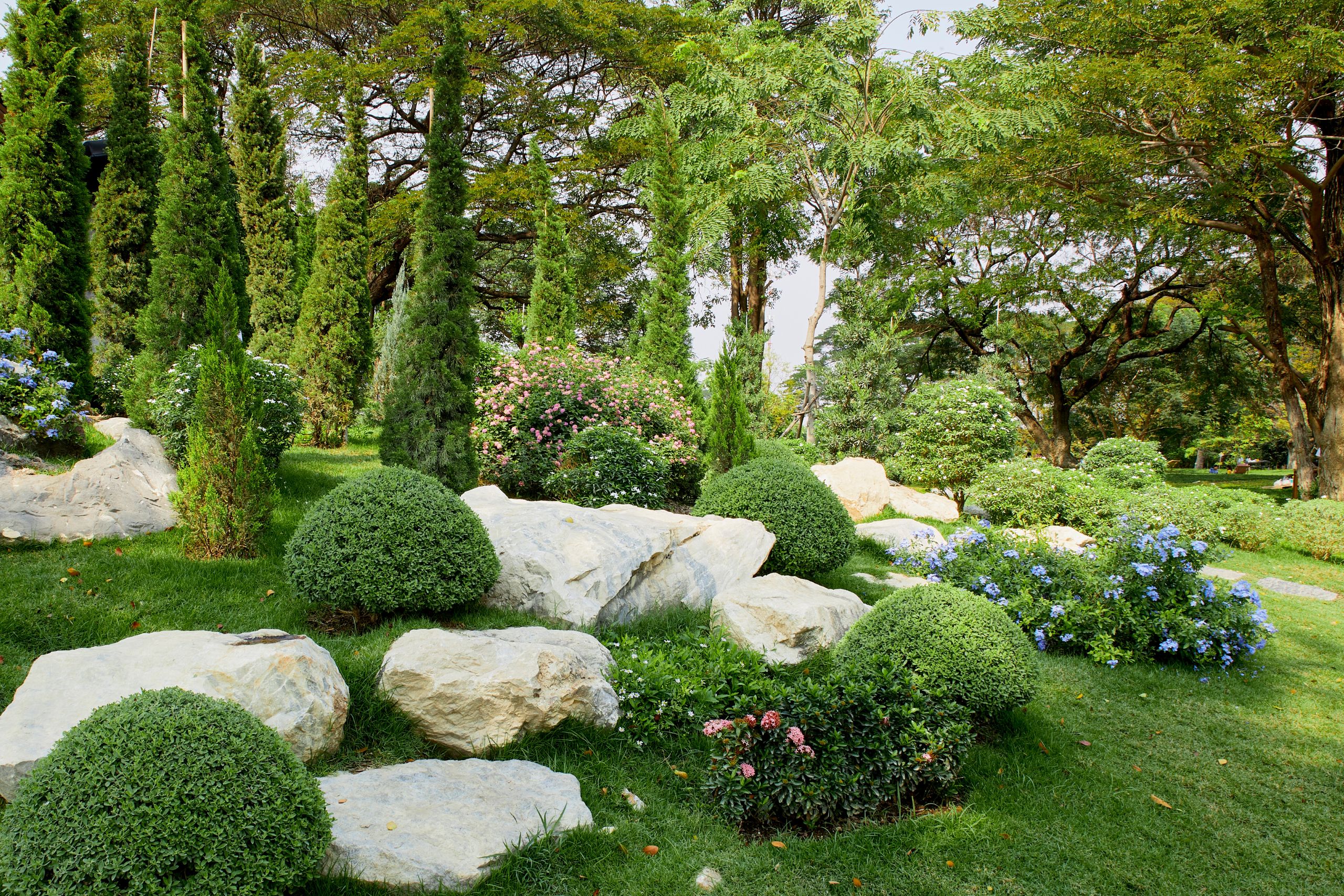 natural stones arrayed in landscaping with plants and green grass